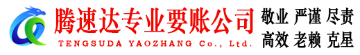 茂南腾速达讨账公司